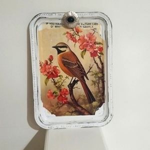 Beautiful bird tray